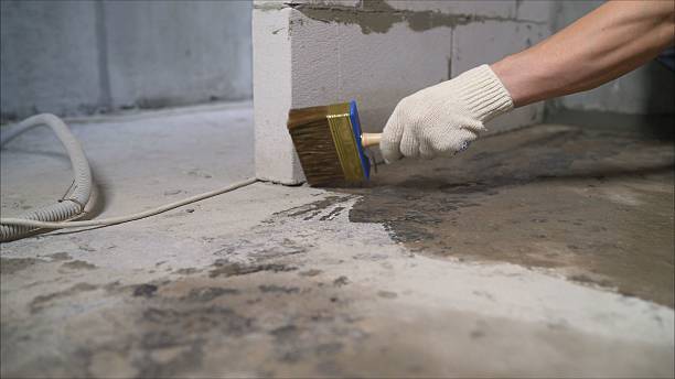 24/7 Emergency Wet Basement Repair experts in Mount Prospect, IL